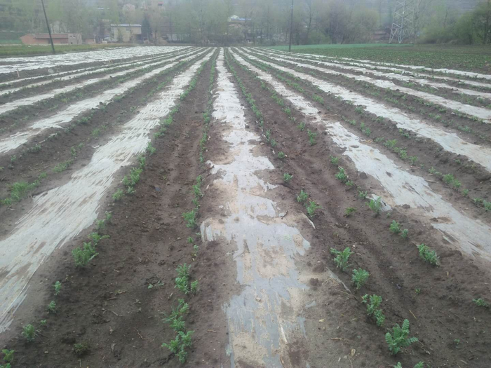 639A045FC754493DA2A5AAA3FE710A8B.png 639A045FC754493DA2A5AAA3FE710A8B.png