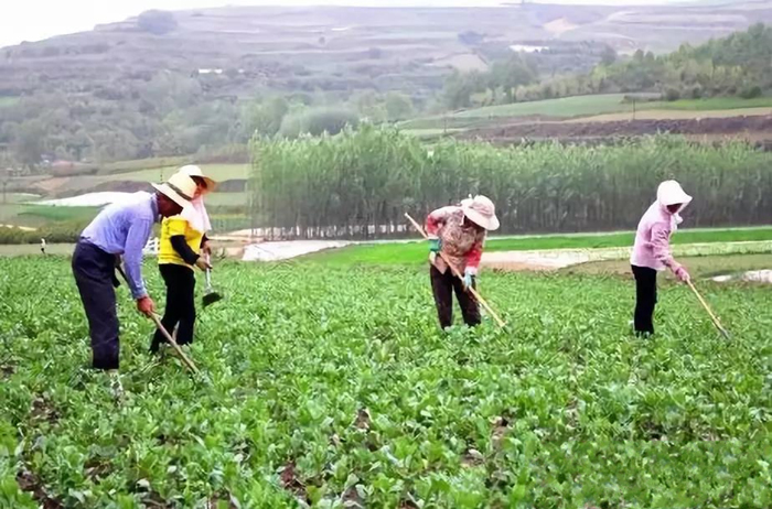 微信图片_20180710103253.jpg 微信图片_20180710103253.jpg