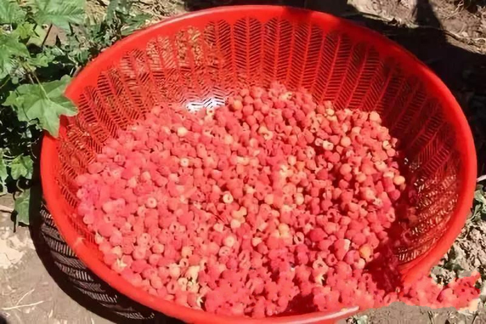 微信图片_20180710103304.jpg 微信图片_20180710103304.jpg